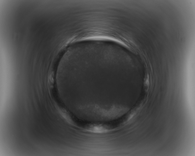 X0000085220264200703091206