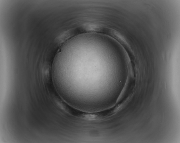X0000085220265200703091206