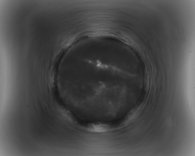 X0000085220268200703091206
