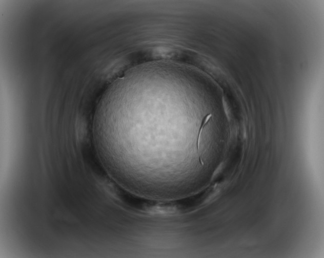 X0000085220270200703091206