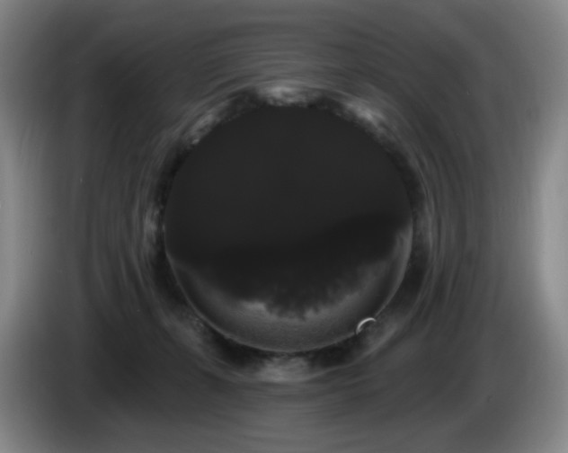 X0000085220271200703091206