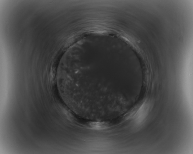 X0000085220273200703091206