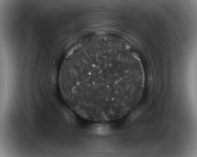 X0000085220275200703091206