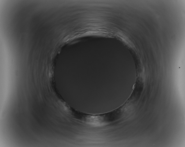 X0000085220277200703091206