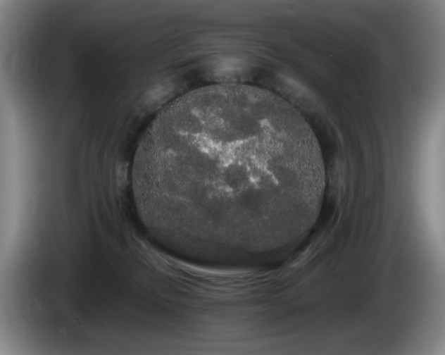 X0000085220278200703091206