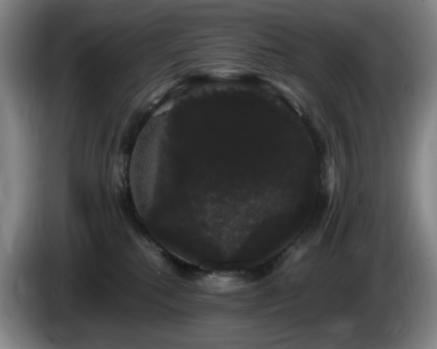 X0000085220280200703091206