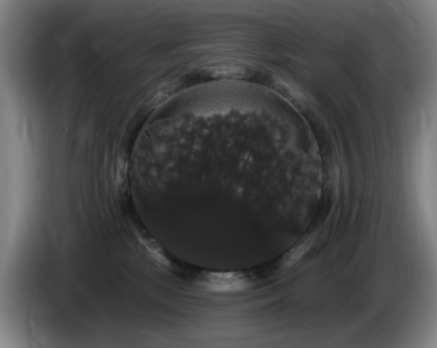 X0000085220281200703091206