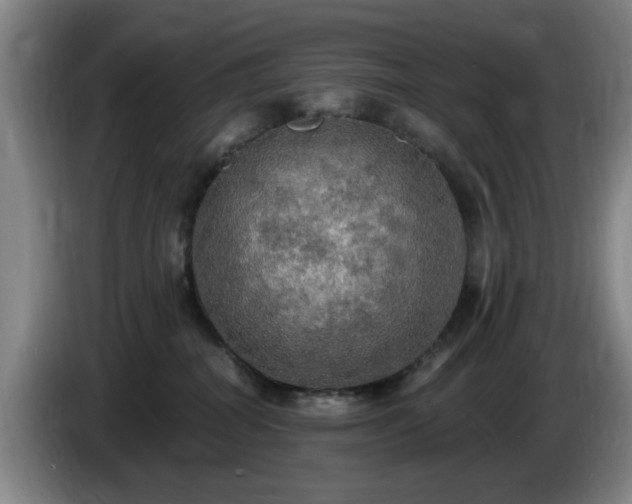 X0000085220282200703091206