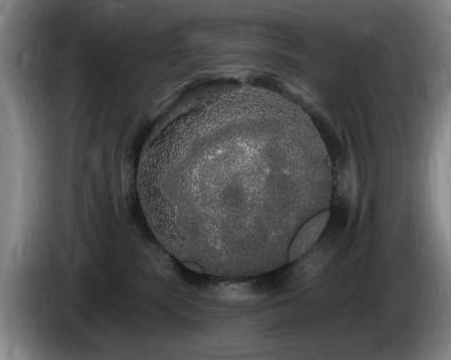 X0000085220283200703091206
