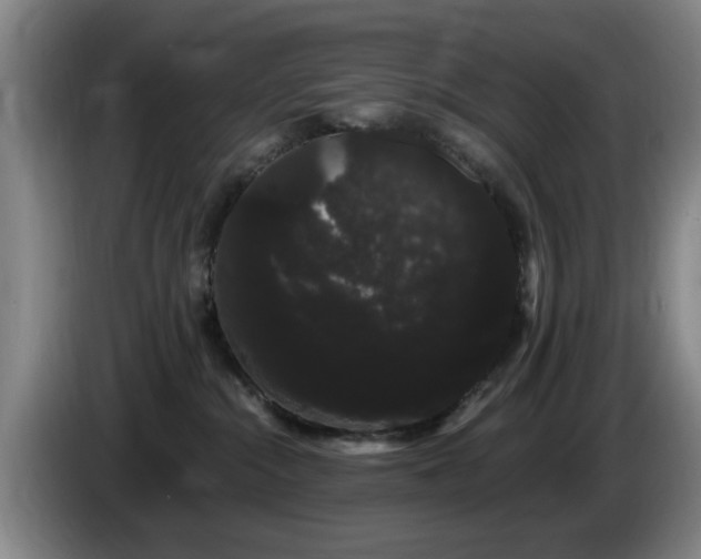 X0000085220284200703091206