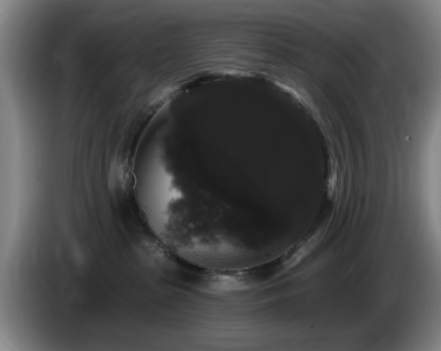 X0000085220285200703091206