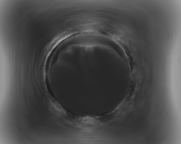 X0000085220290200703091206