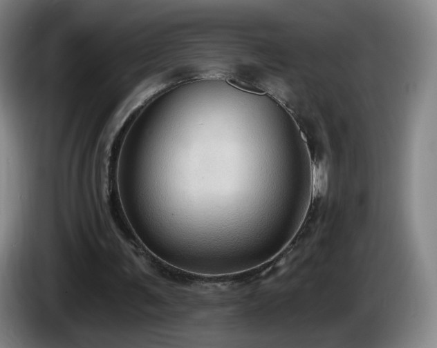 X0000085220291200703091206