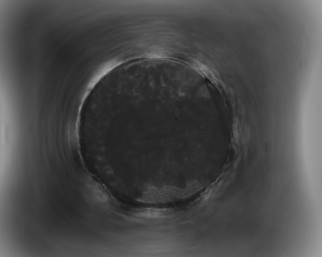 X0000085220292200703091206