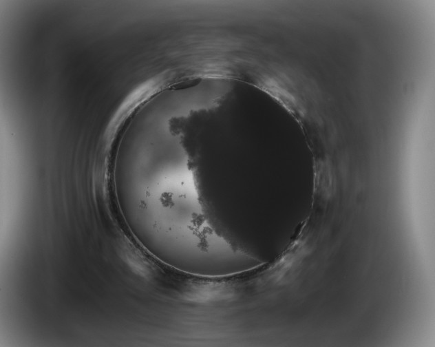 X0000085220293200703091206