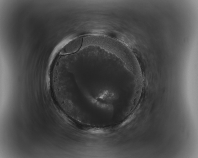 X0000085220294200703091206