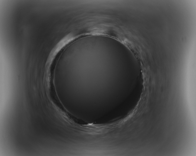 X0000085220295200703091206