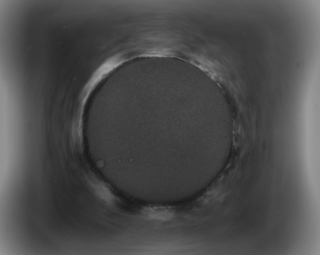 X0000085220296200703091206