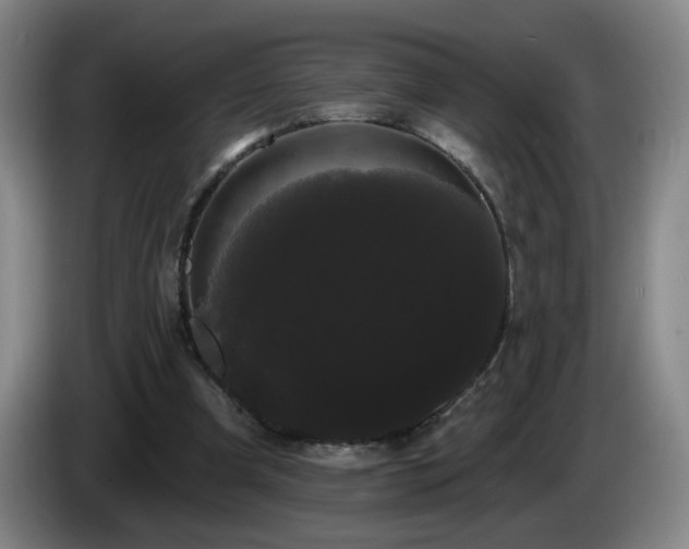 X0000085220297200703091206