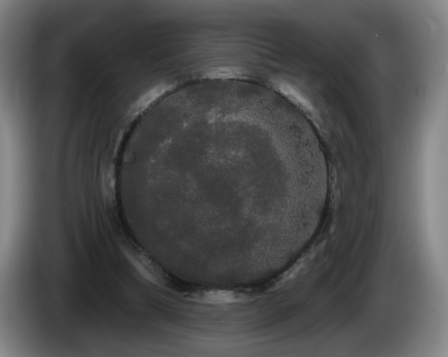 X0000085220298200703091206