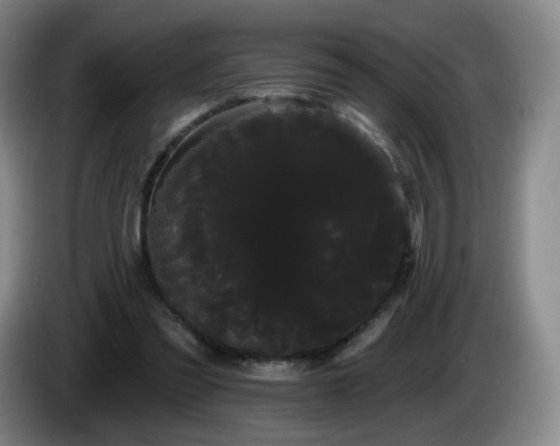 X0000085220301200703091206