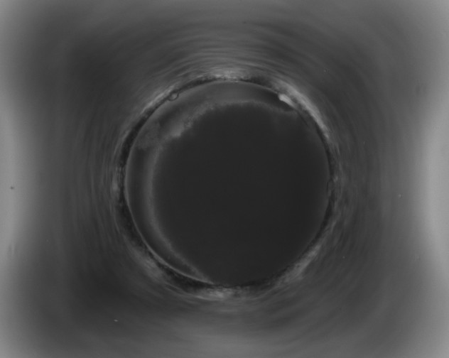 X0000085220305200703091206