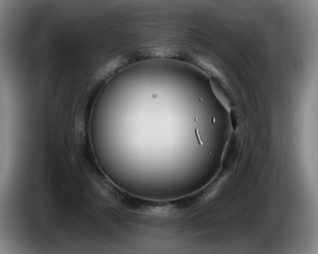 X0000085220306200703091206