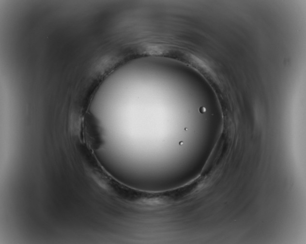 X0000085220307200703091206