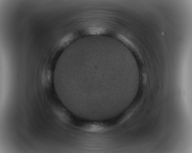 X0000085220308200703091206