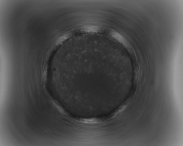 X0000085220309200703091206