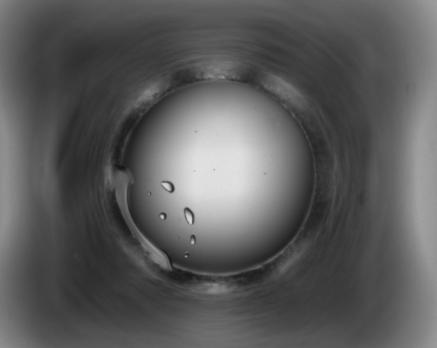 X0000085220310200703091206