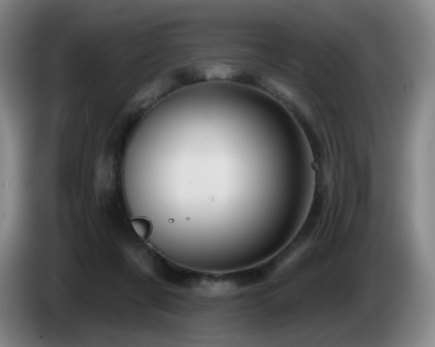 X0000085220311200703091206