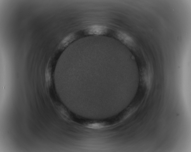 X0000085220312200703091206