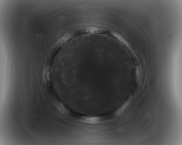 X0000085220313200703091206