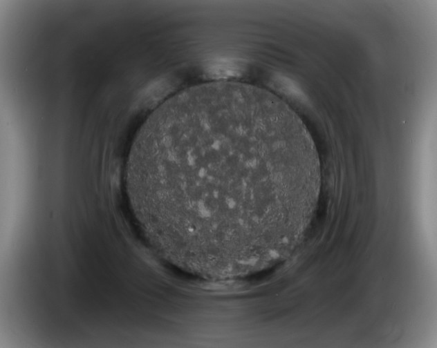 X0000085220315200703091206