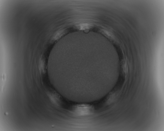 X0000085220316200703091206
