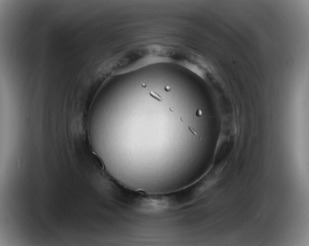 X0000085220317200703091206