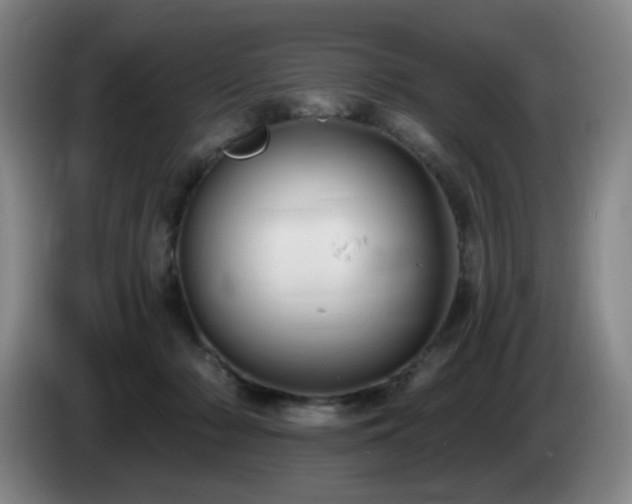 X0000085220318200703091205