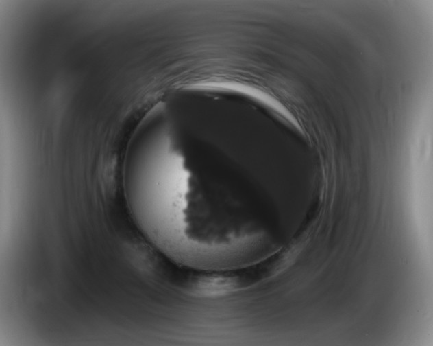X0000085220319200703091205