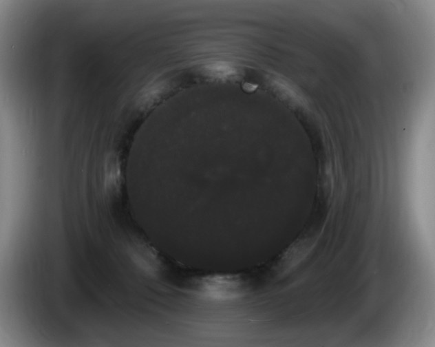 X0000085220320200703091205