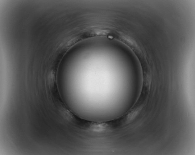X0000085220321200703091205