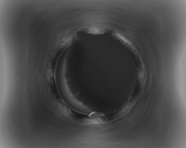 X0000085220322200703091205