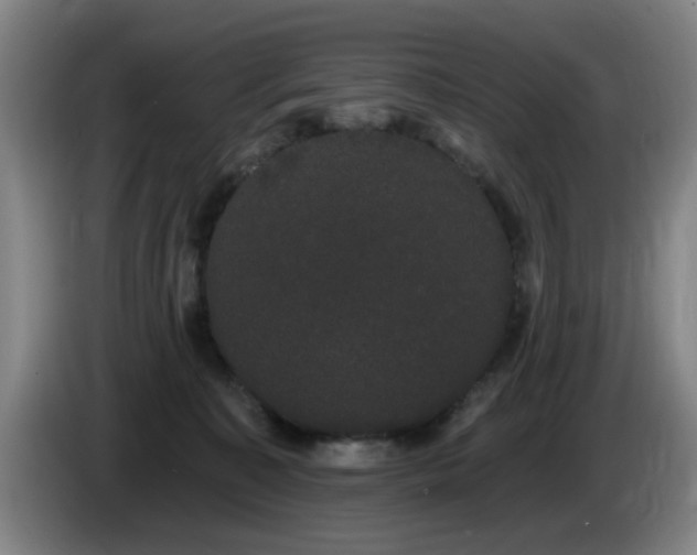 X0000085220323200703091205