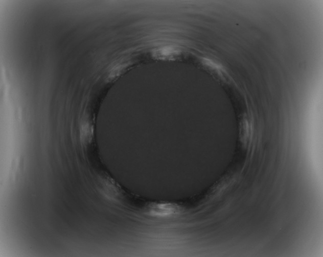 X0000085220324200703091205