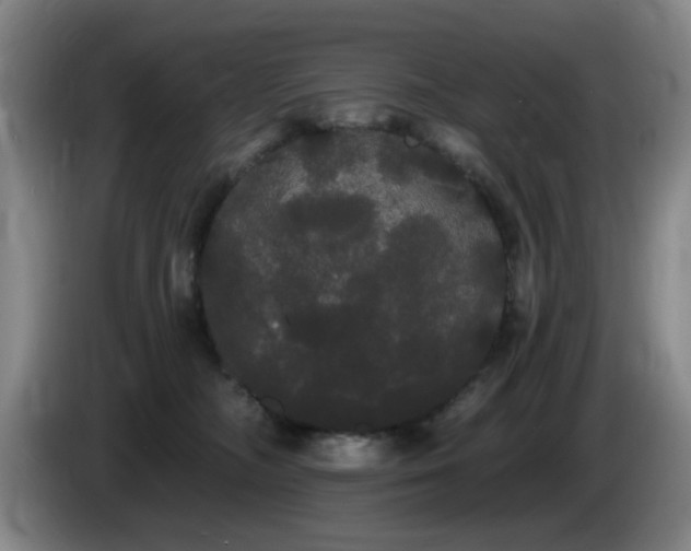 X0000085220326200703091205