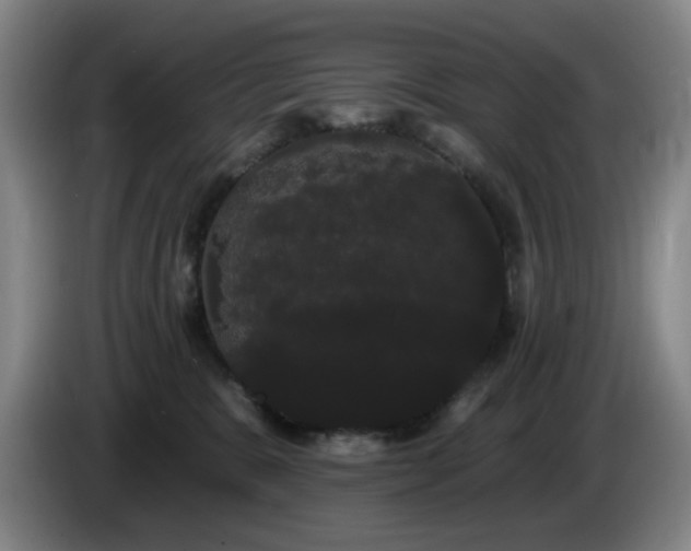 X0000085220327200703091205