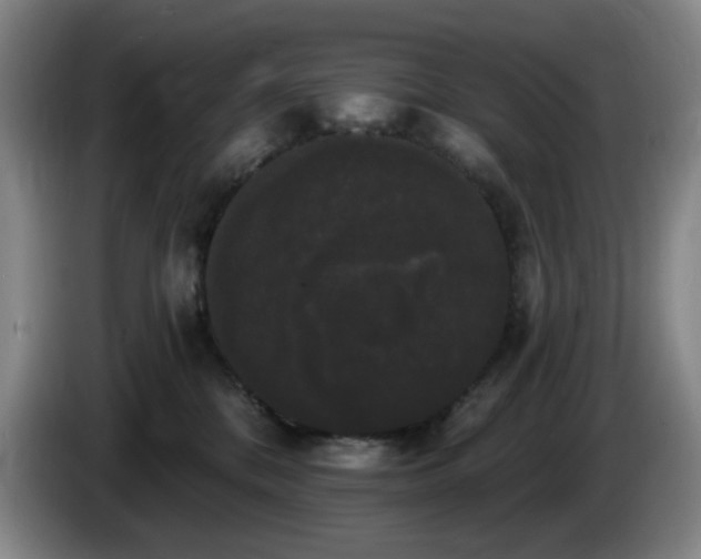 X0000085220328200703091205