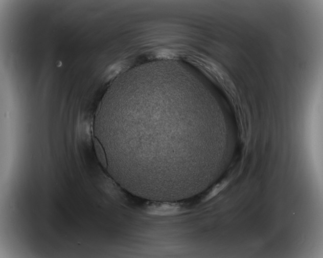 X0000085220329200703091205