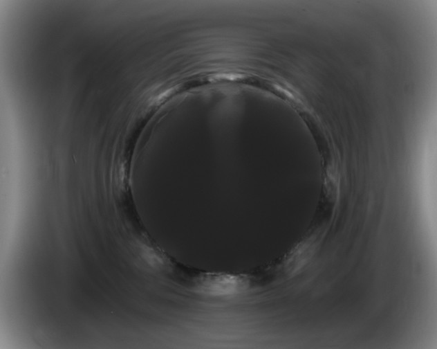 X0000085220330200703091205