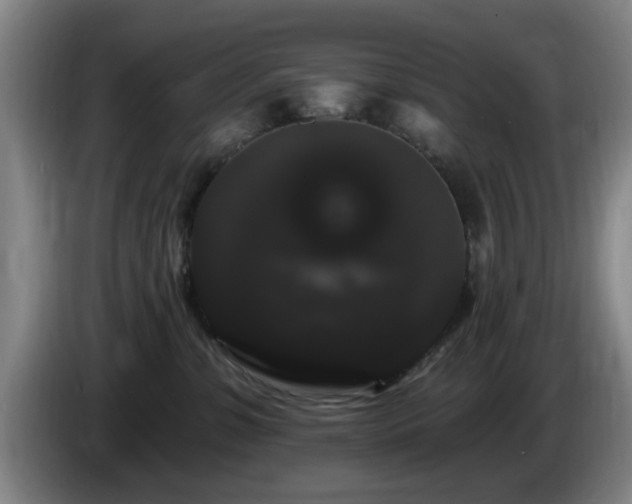 X0000085220331200703091205